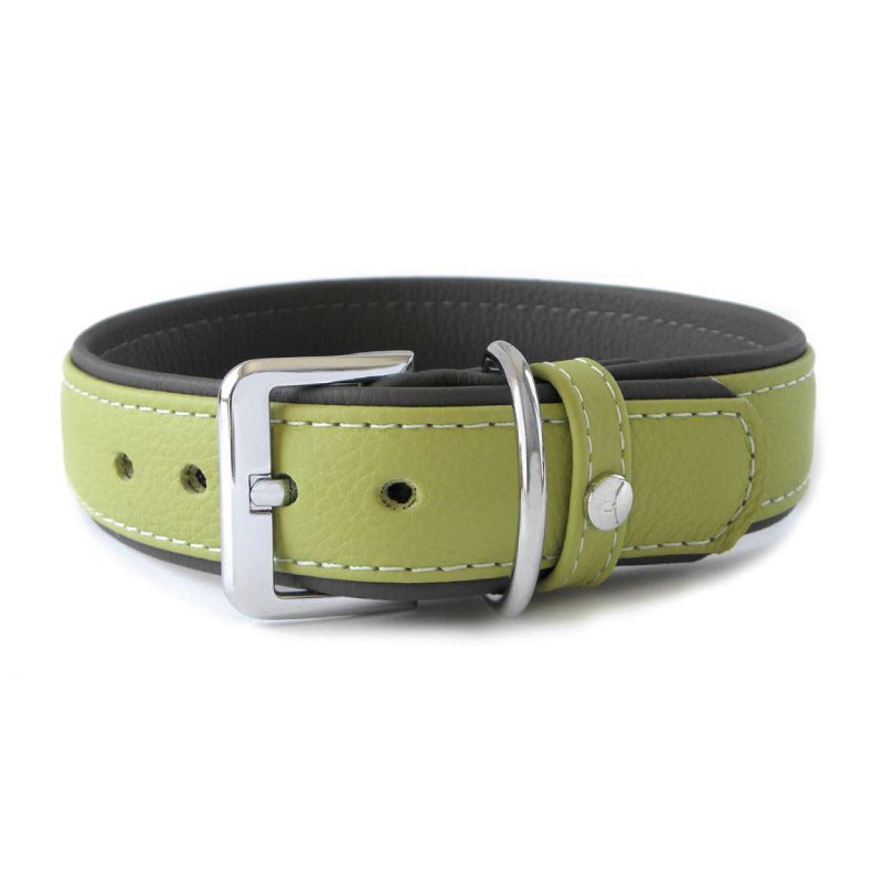 Das Lederband Amsterdam Halsband Lime / Lava