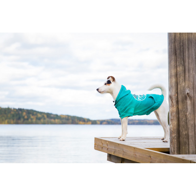 Rukka Pets Hoody College honden sweatshirt, emerald