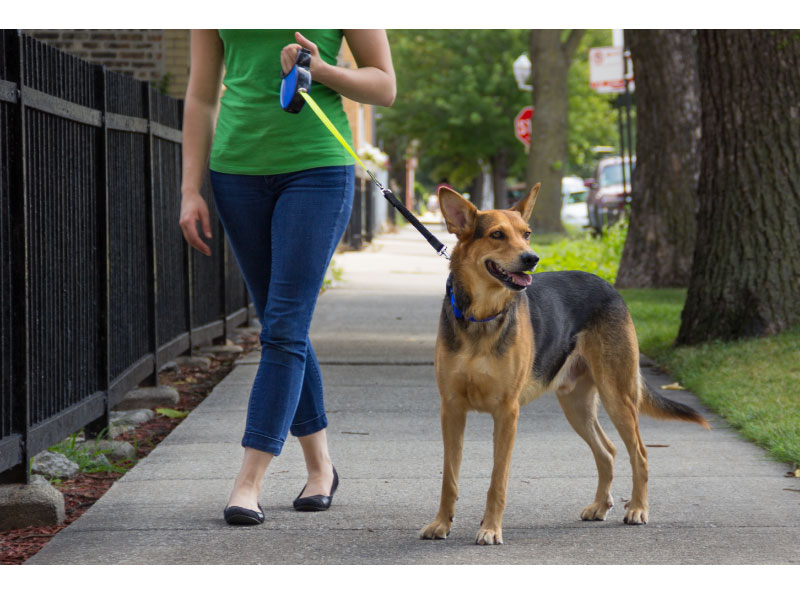 Smart Leash Rollijn Rood