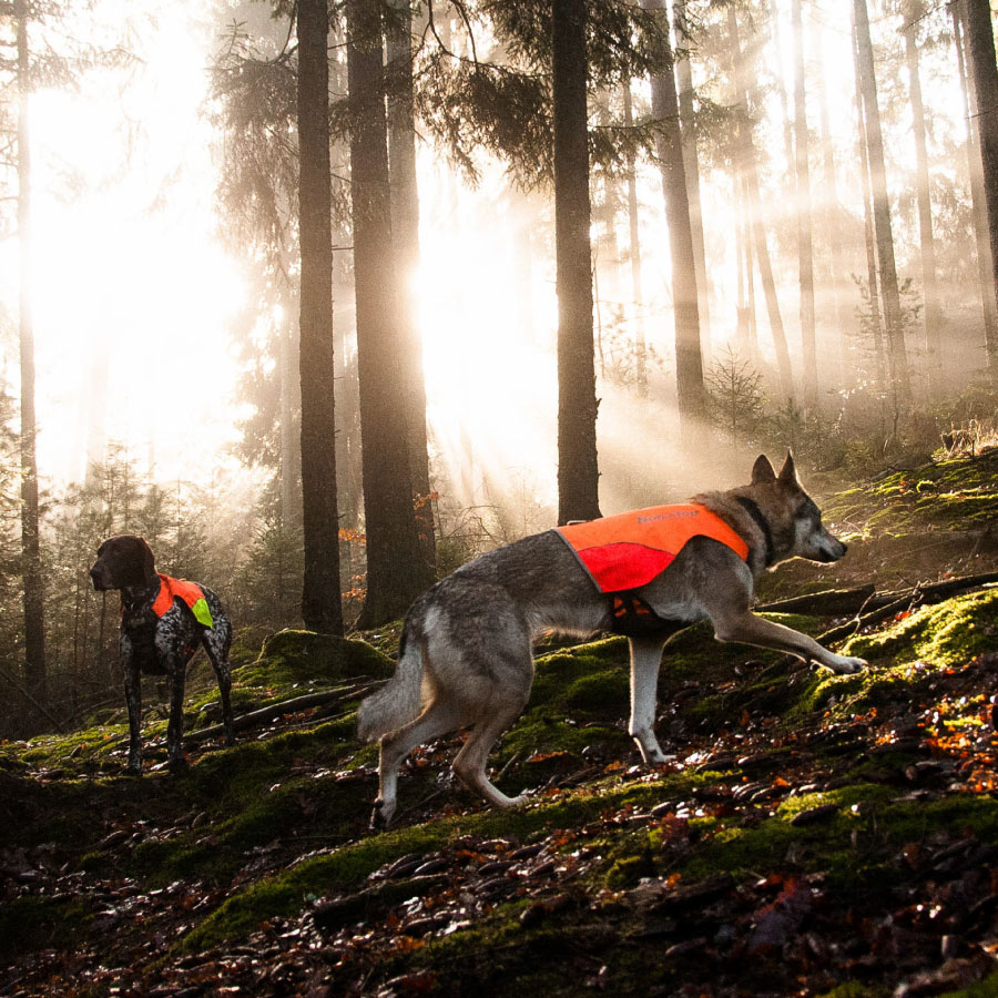 Non-stop dogwear Protector Vest