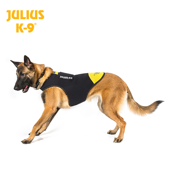 Julius K9 Neopreen Termo Hondenjas