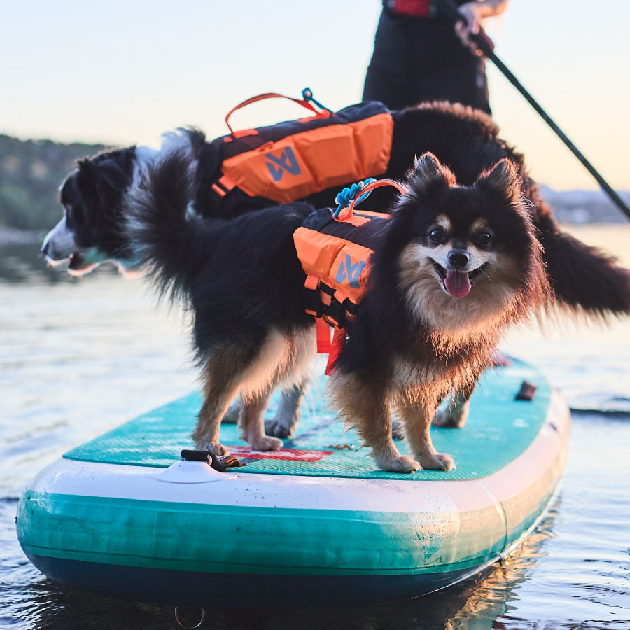 Non-Stop Dogwear Protector Life Jacket 2.0