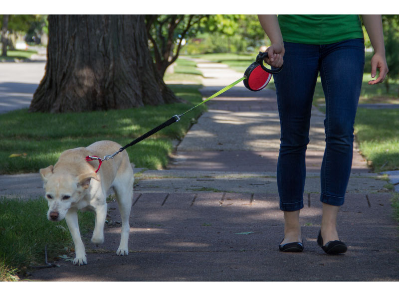 Smart Leash Rollijn Rood