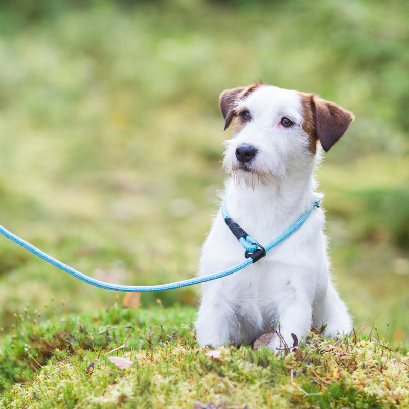 Rukka Pets Rope retriever lijn, aqua