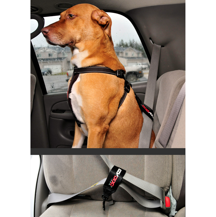 EzyDog Car Restraint