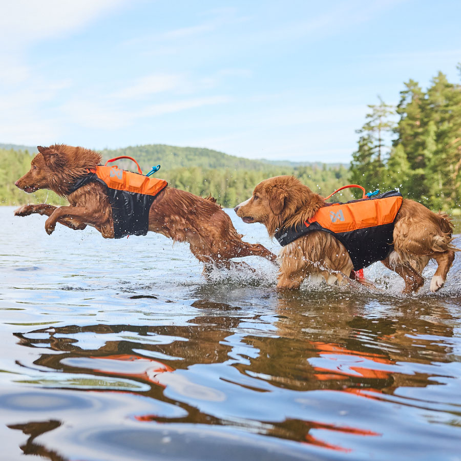 Non-Stop Dogwear Protector Life Jacket 2.0