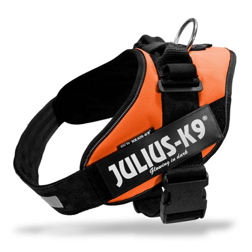 Julius-K9 IDC Powertuig UV Oranje