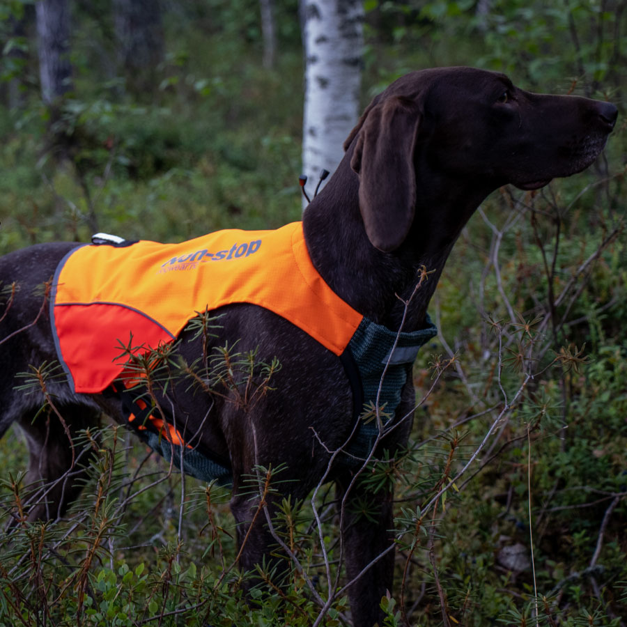 Non-stop dogwear Protector Vest