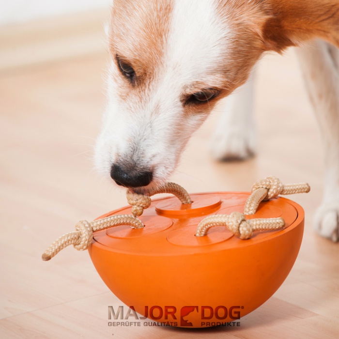 Major Dog Teeter Totter