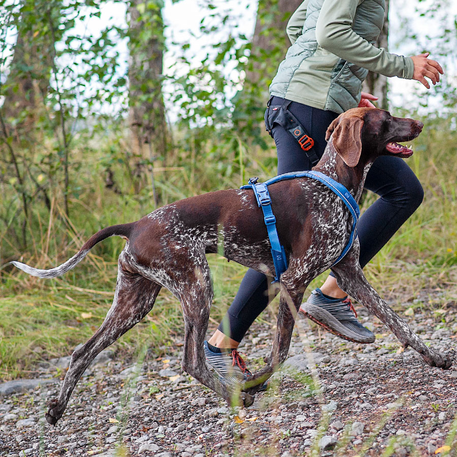 Non-stop dogwear Line harness 5.0