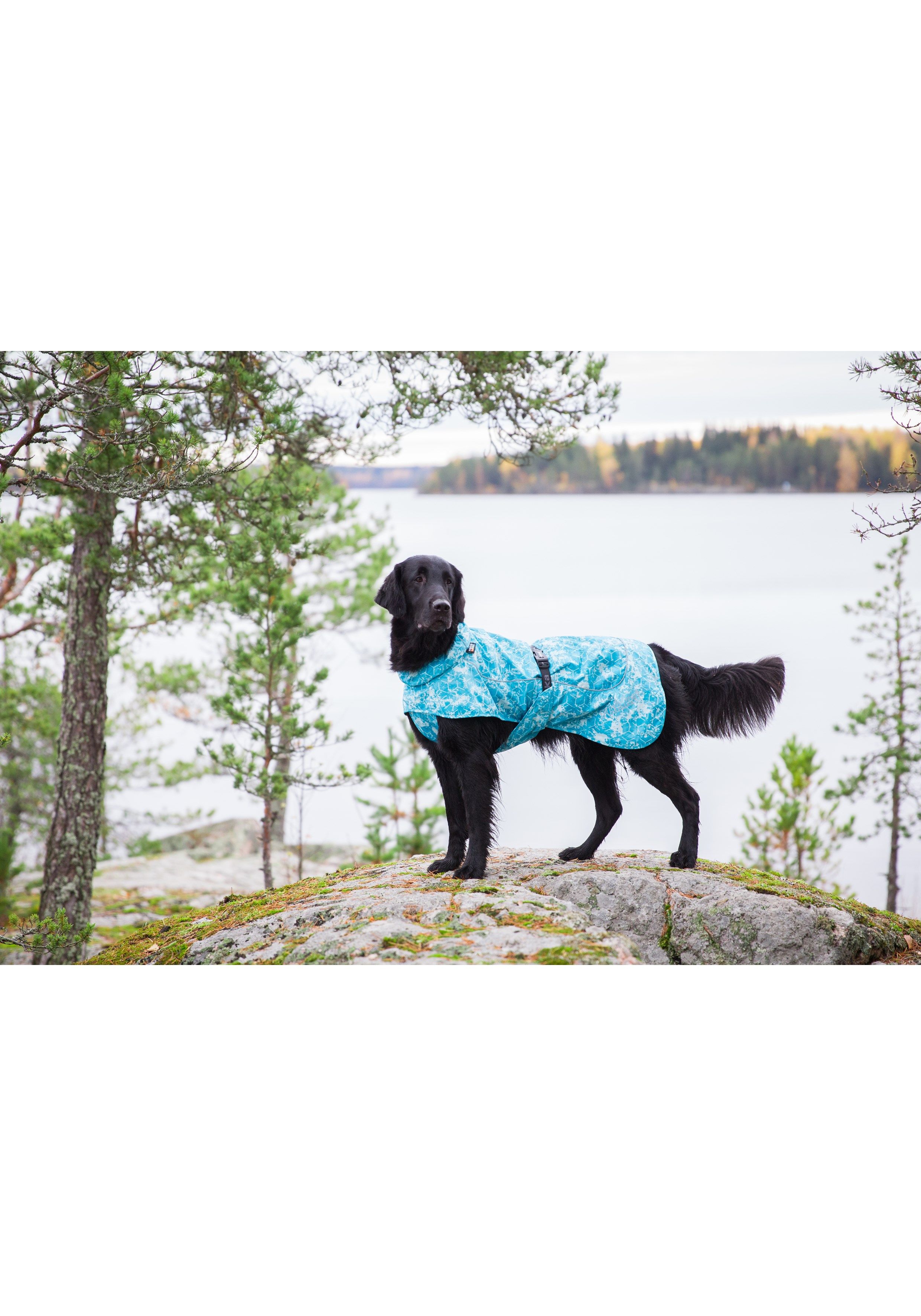 Rukka Pets Drizzle honden regenjas, aqua