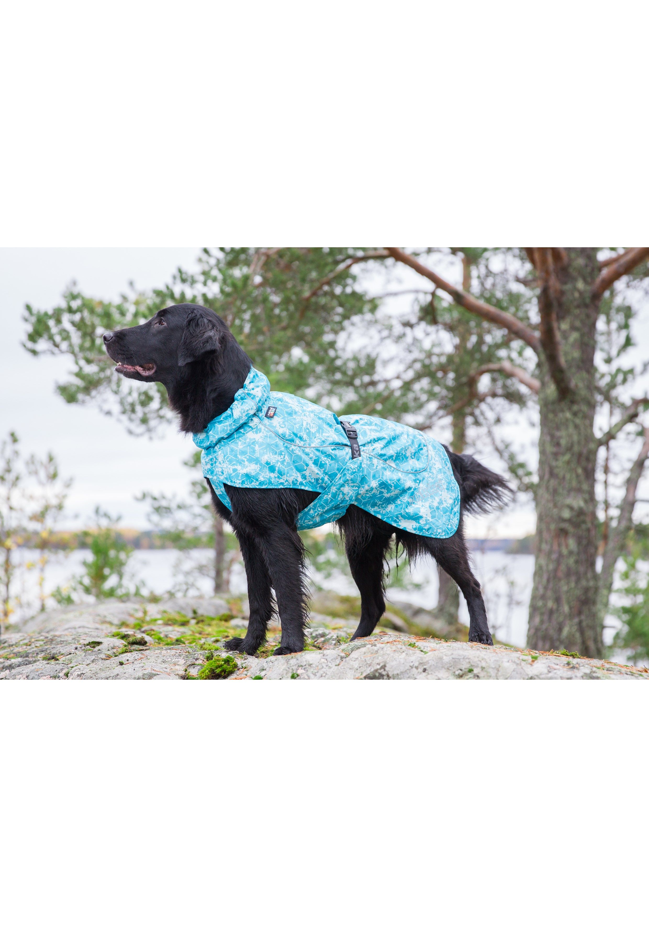 Rukka Pets Drizzle honden regenjas, aqua