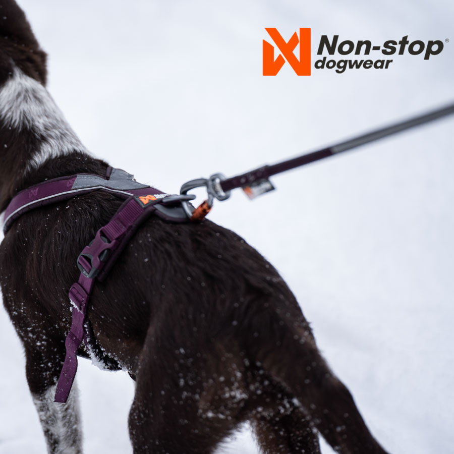 Non-stop dogwear Line harness 5.0