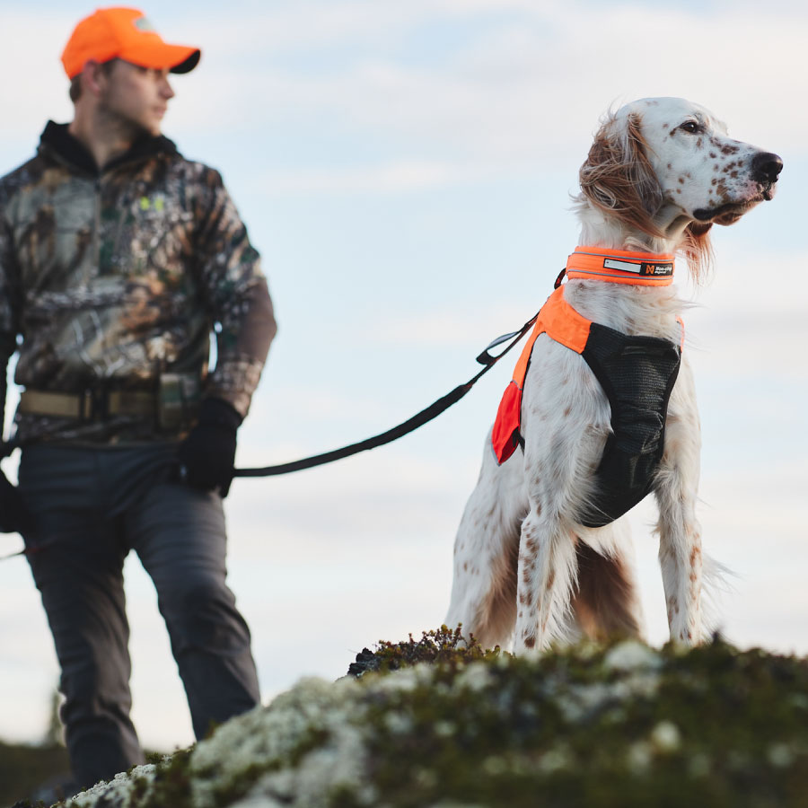 Non-stop dogwear Protector Vest