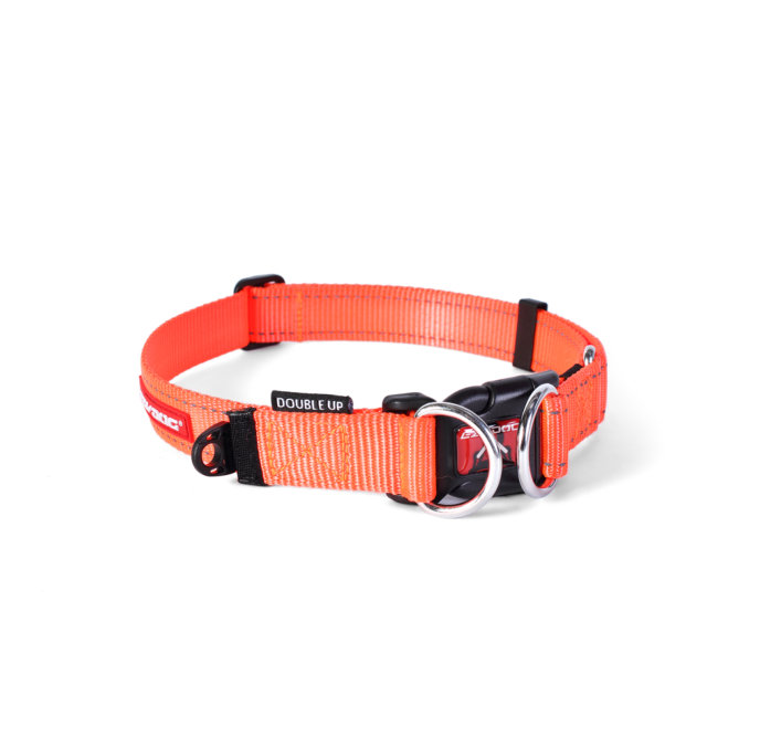 EzyDog Double Up Halsband, Oranje